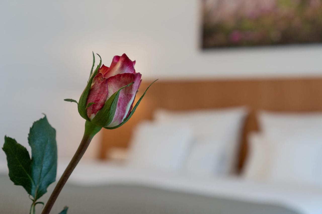 Hotel Elysee Seligenstadt Eksteriør bilde